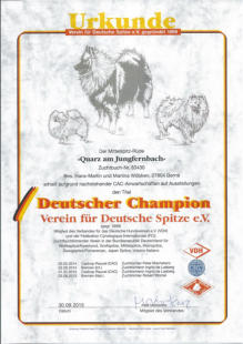 Deutscher Champion Quaxx am Jungfernbach