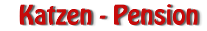 Katzen - Pension