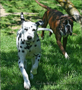 Unsere Gäste beim ausgelassenen Spiel