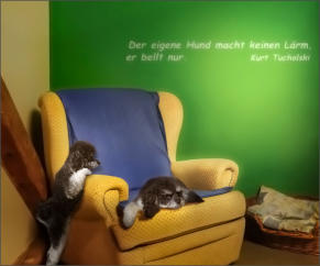 so richtig gut leben 