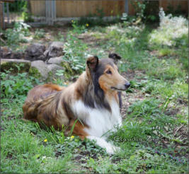 Unser Gast beim Genießen