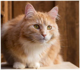 © Bastian Weltjen - www.Fotolia.com