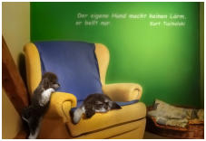 Hundebekanntschaften