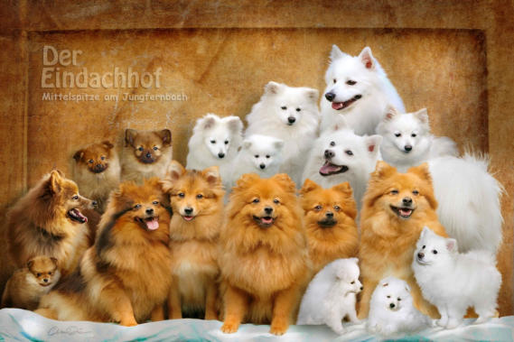 Unsere Spitze sind spitze ;)