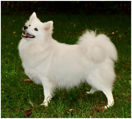 Thalia am Jungfernbach