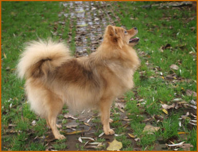 Andere Zehnte am Jungfernbach