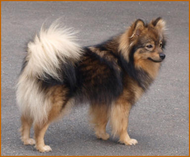 Gutsele am Jungfernbach