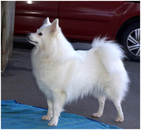 Felice am Jungfernbach