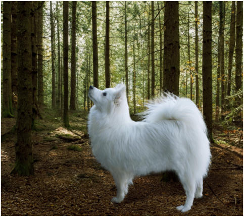 Layla Clapton am Jungfernbach