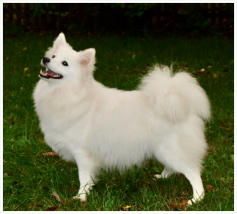 Thalia am Jungfernbach