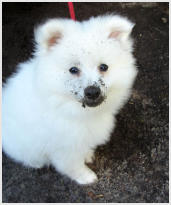 wenn Kinder im Garten arbeiten ;)