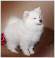 genüsslicher Ausdruck