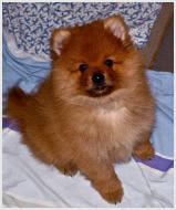 Norton am Jungfernbach