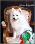 Xelia am Jungfernbach