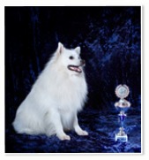 Hobbit vom Kindletal