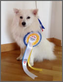 Motte am Jungfernbach