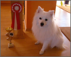 Alwin am Jungfernbach