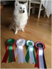 Tuva am Jungfernbach