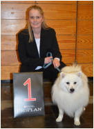 Quaxx auf der CACIB-Ausstellung