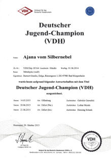 Jugend Champion Ajana vom Silbernebel