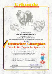 Quiesel am Jungfernbach 2017