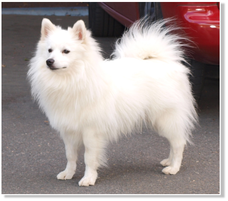 Juri am Jungfernbach