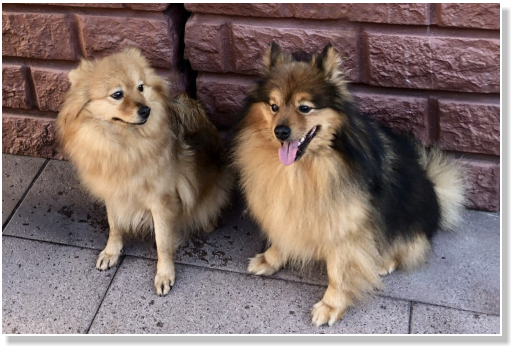 Andere Zehnte am Jungfernbach mit Leodin Löwenherz