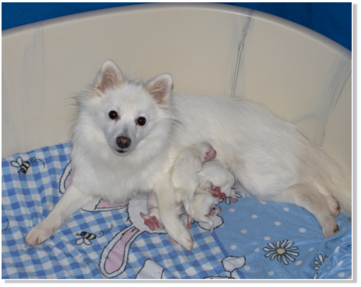 Layla am Jungfernbach