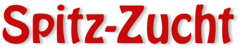 Spitz-Zucht